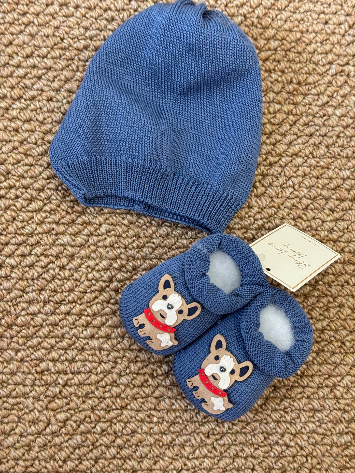 Box filo blu dog