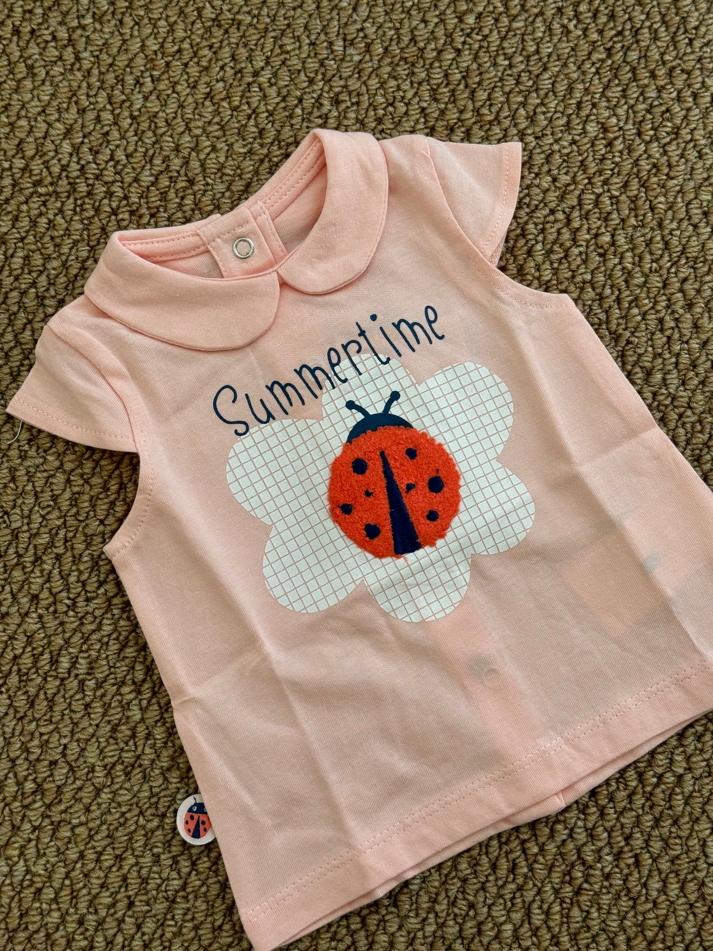 Completo coccinella