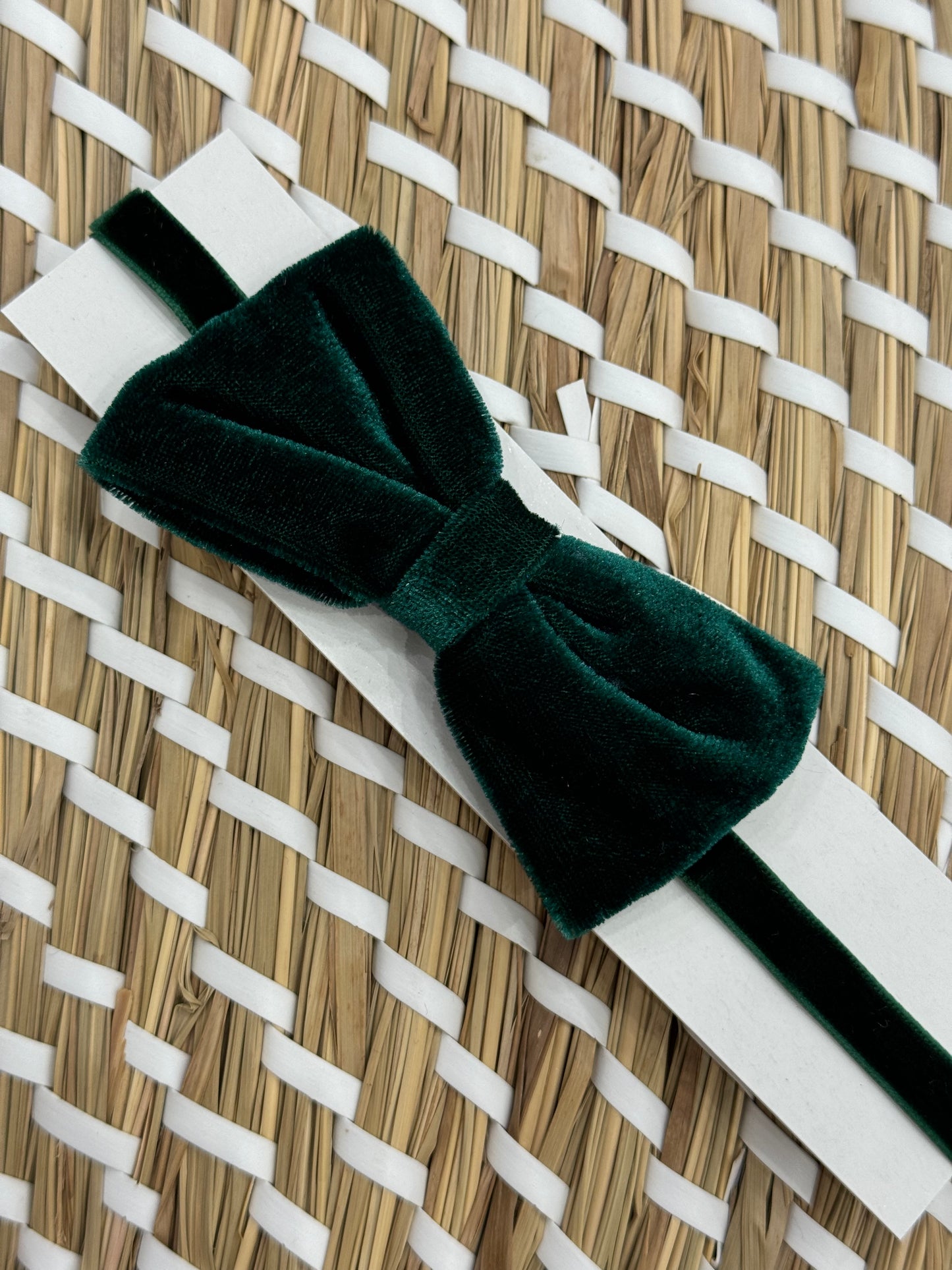 Papillon velvet