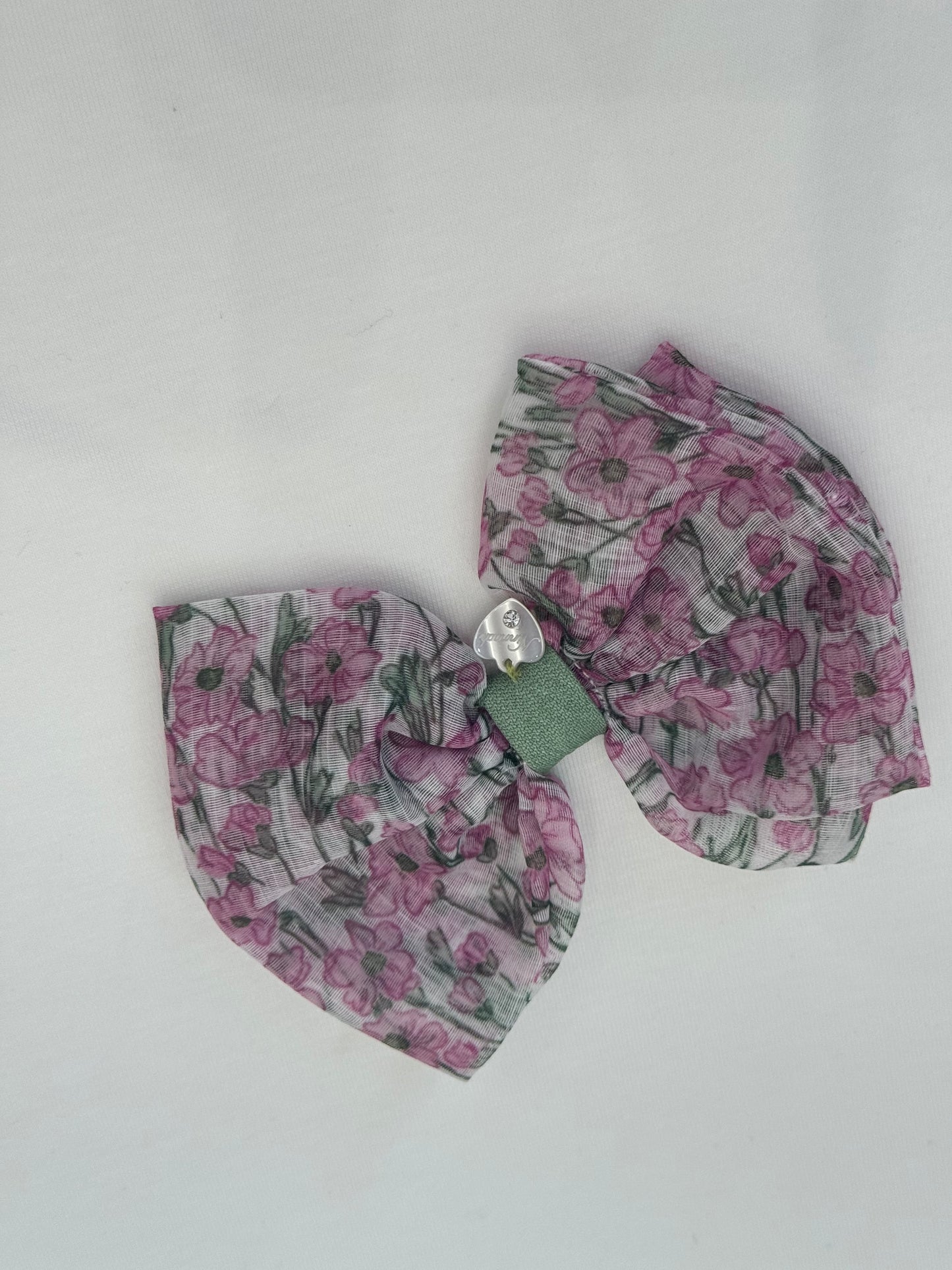 Uscita clinica Violette