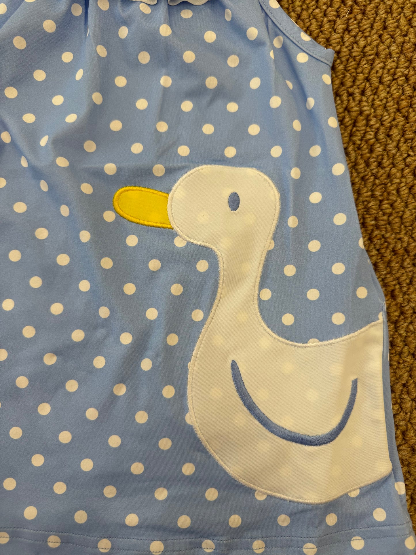 Costume duck