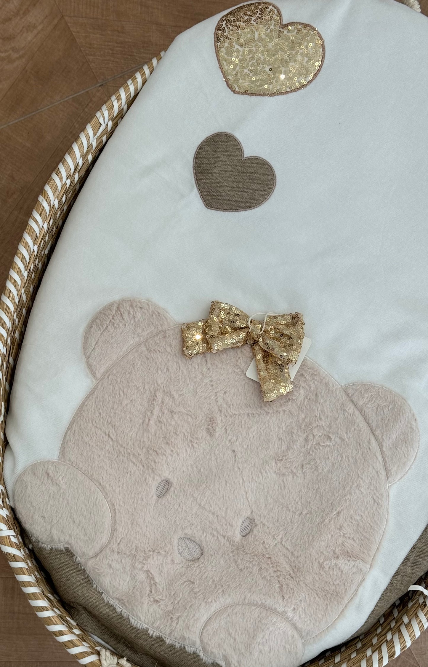 Uscita clinica teddy Gold