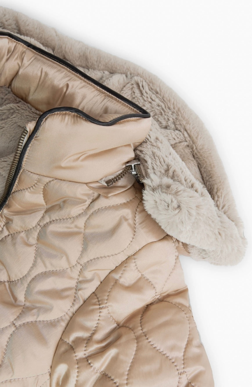 Cappotto Gold