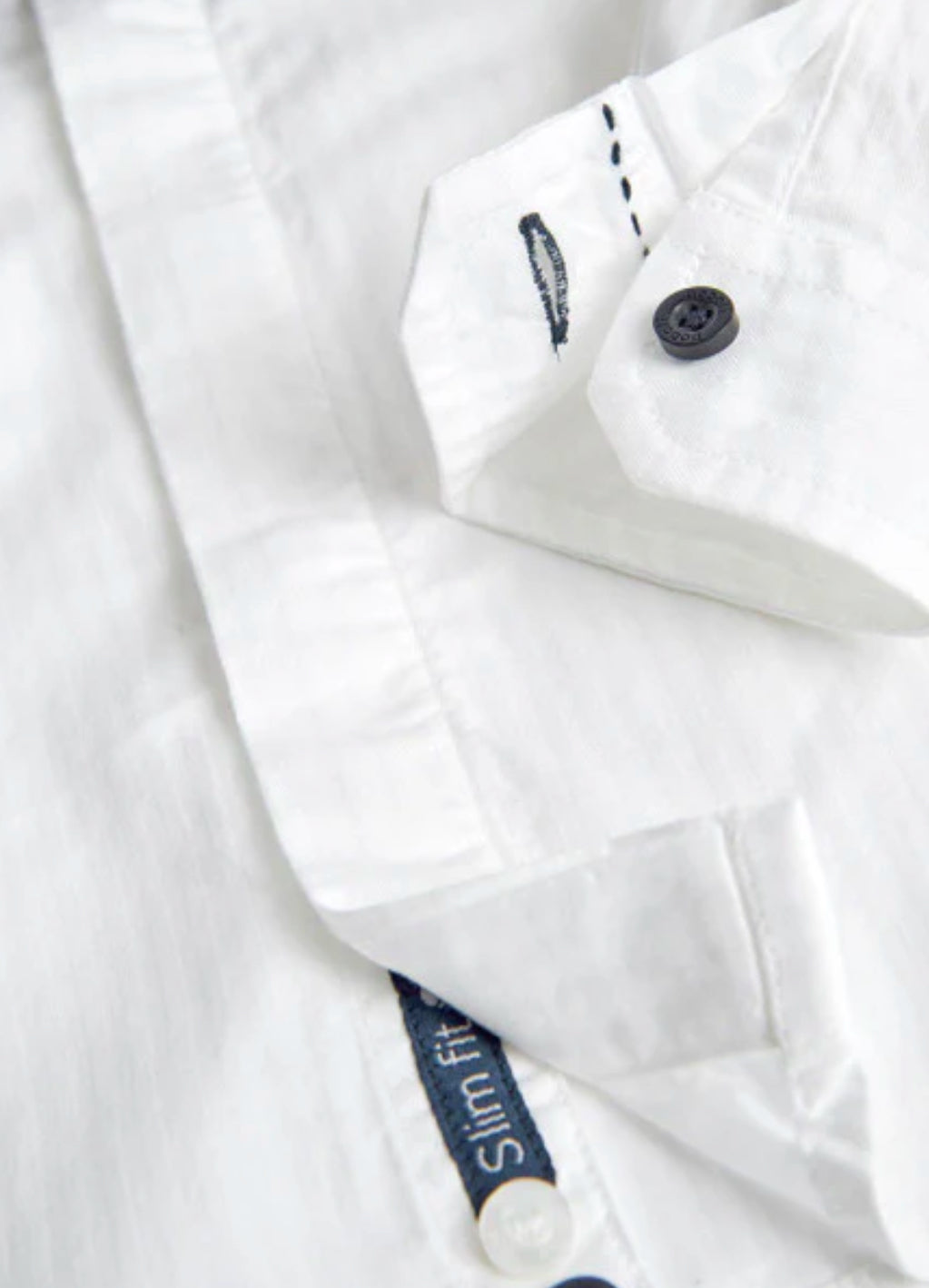 Camicia in cotone con Papillon BOBOLI