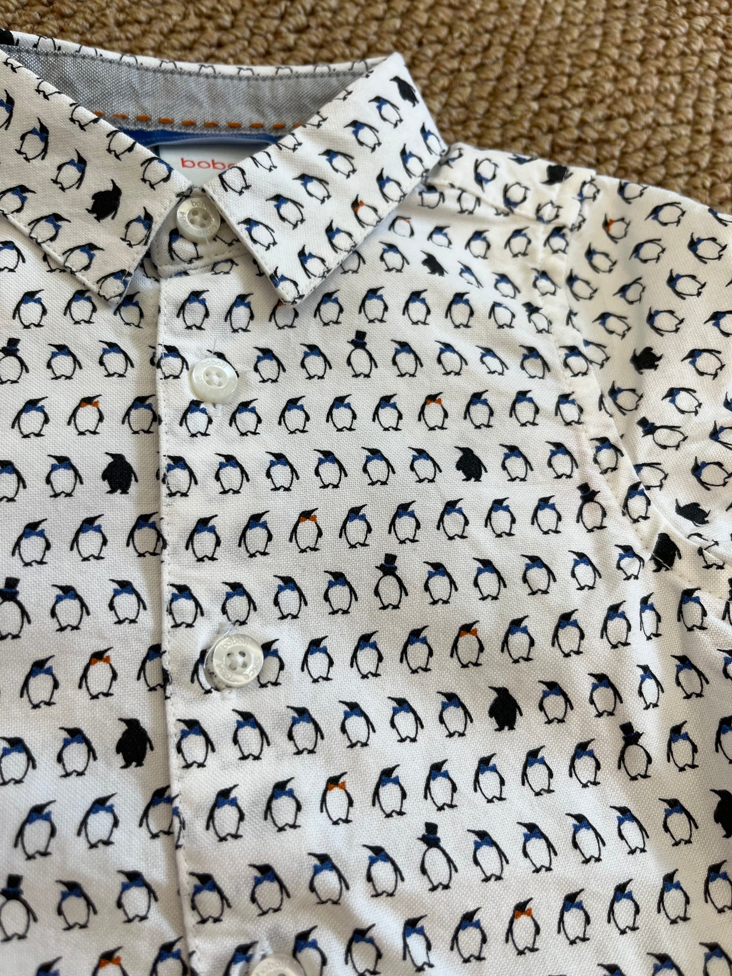 Camicia Pinguini BOBOLI