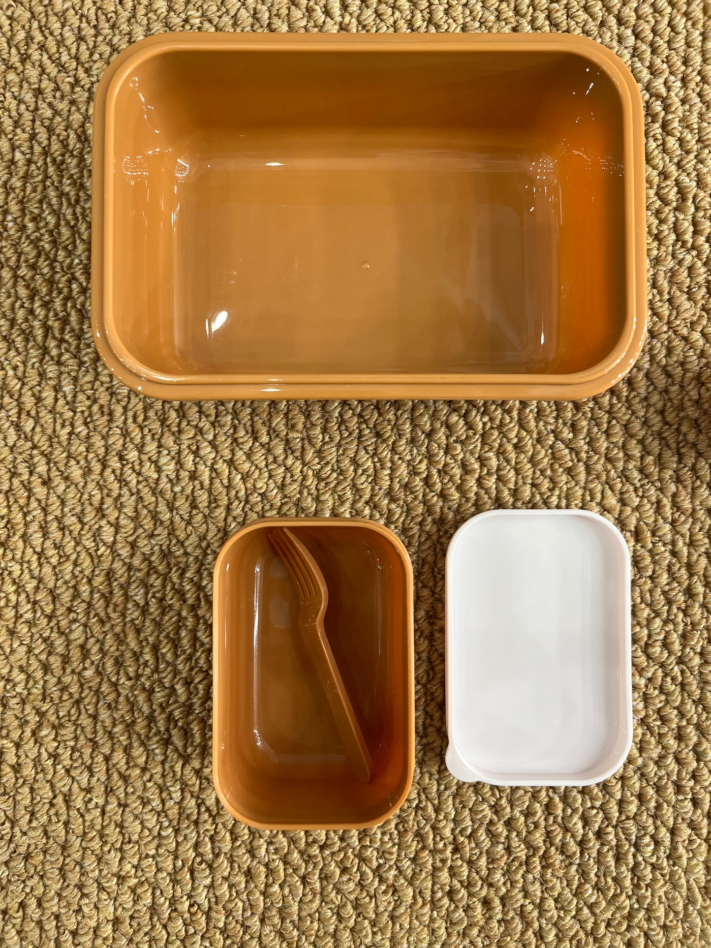 Large Lunch Box Savana