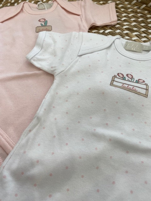 Set 2 Body Cotone Mezza Manica Rosa/Bianco