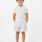 Completo mare seashelles