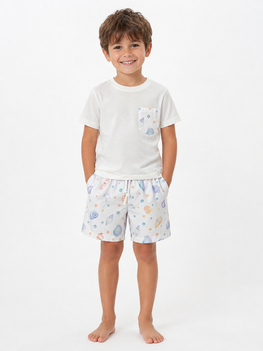 Completo mare seashelles