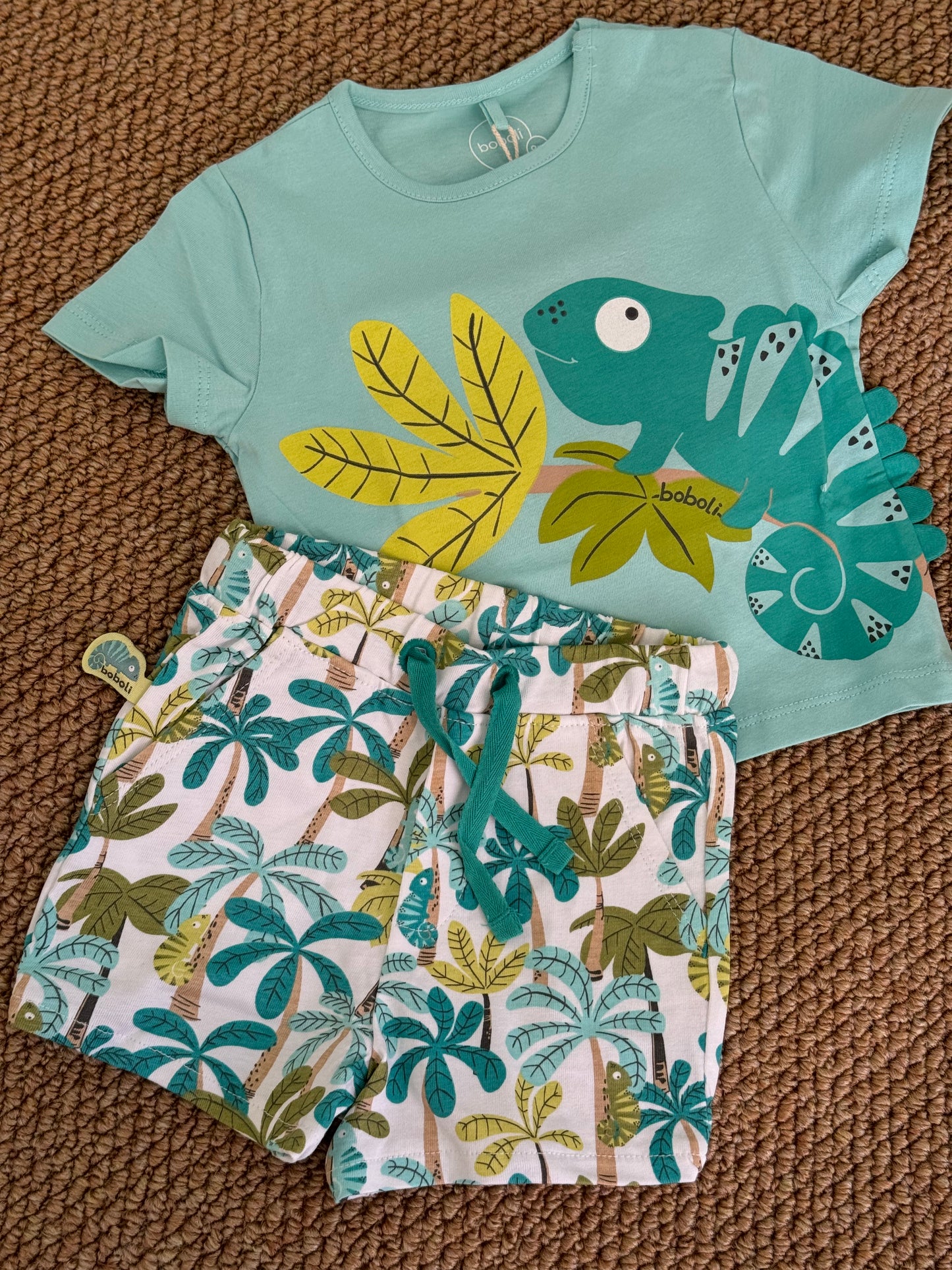 Completo T-shirt e Shorts Camaleonte