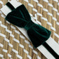 Papillon velvet