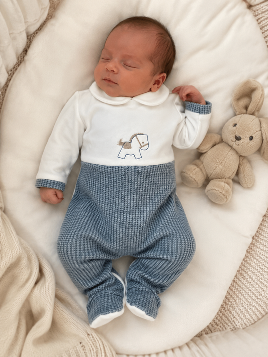 Tutina pony avion