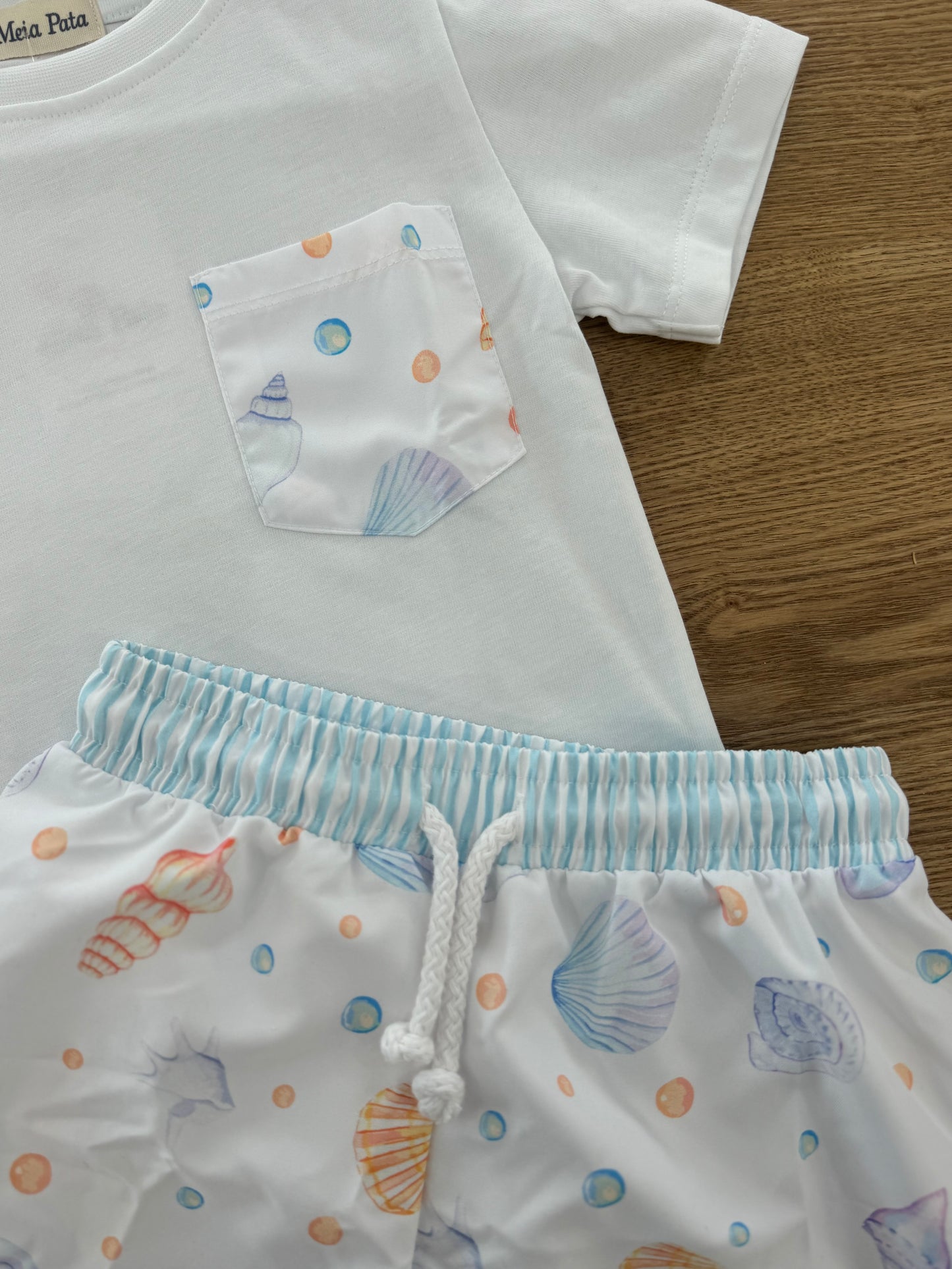 Completo mare seashelles