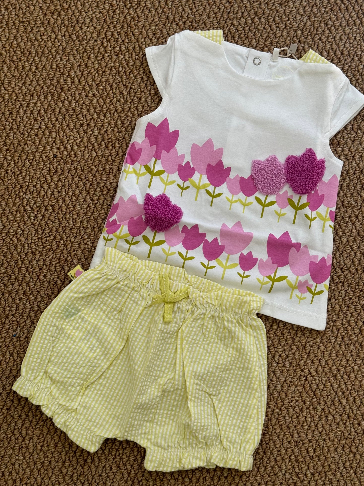 Completo tulip