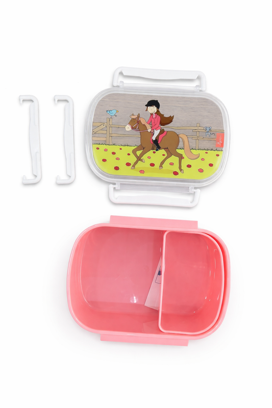 Box lunch cavallerizza